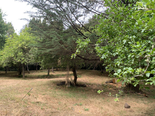 Parcela De 7.500 Mt2 En Sector Puninque