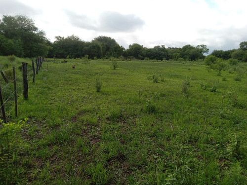 Campo Sobre Ruta
