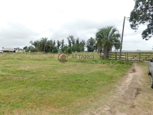Imagen 10 de 13 de Campo- Chacra En Venta- Entrada De Pueblo Garzon-35 Hectareas - Garzón Pueblo Garzón