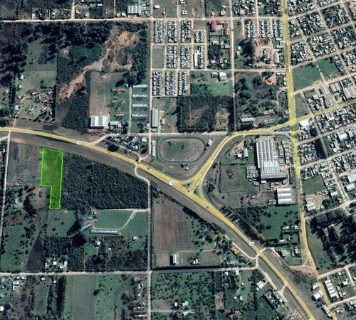 Imagen 7 de 9 de Parcela De 14.000 M2 En Acceso A Colón