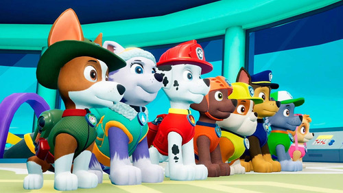 Paw Patrol On A Roll Nintendo Switch Fisico
