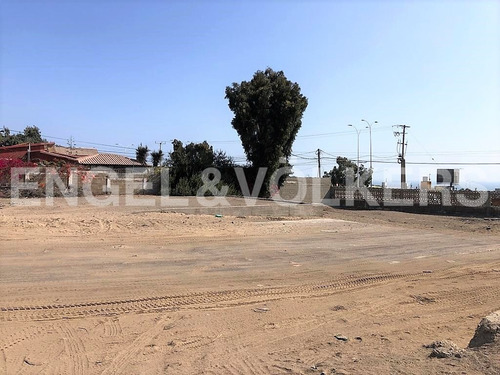 Imagen 2 de 12 de Arriendo Lote De 1000 M2, Sector La Chimba