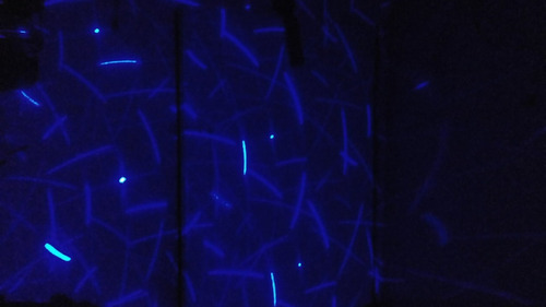 Luz Luces Laser Azul Miniteca Discoteca Usado 100%operativo