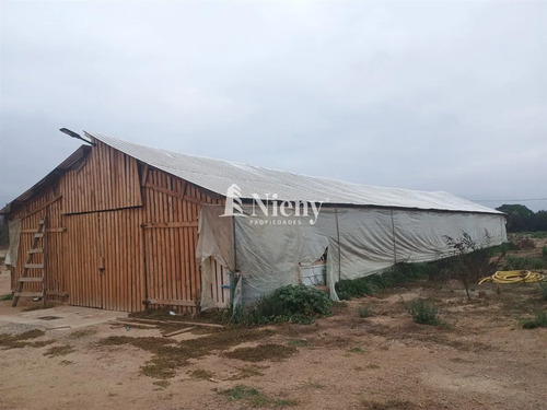 Agrícola En Arriendo En Limache