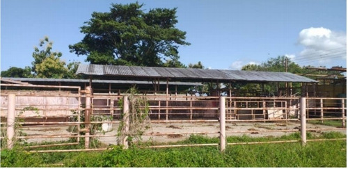 Imagen 17 de 30 de Finca Y Centro Turístico Linda Barinas En Venta