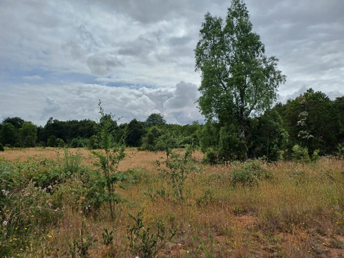 Parcela En La Reserva De Frutillar Naturaleza, Exclusivida
