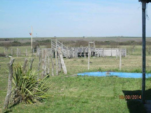 Imagen 6 de 14 de Campo En Venta En Concepcion Del Uruguay