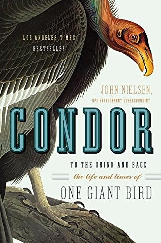 Condor To The Brink And Backthe Life And Times Of One Giant 