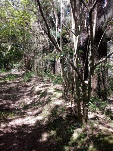 Imagen 5 de 7 de Terreno - Carapachay
