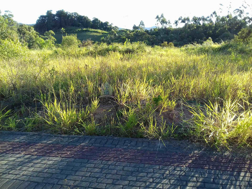 Terreno A Venda No Centro Em Guabiruba/sc - 954
