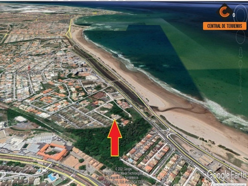 Imagem 5 de 5 de Terreno Em Patamares - Te00444 - 69487618
