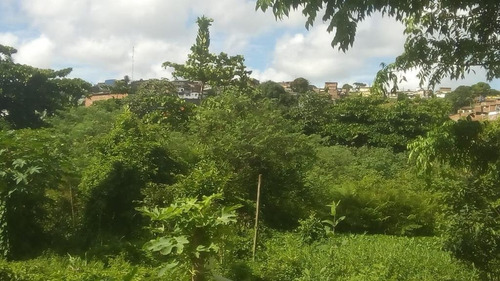 Imagem 3 de 8 de Terreno Em Guabiraba Nova Descoberta - Te0049