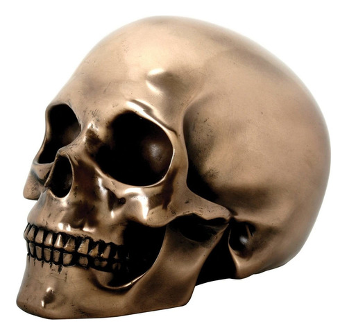 Figura Decorativa Bronce Colored Esqueleto De Calavera Estat