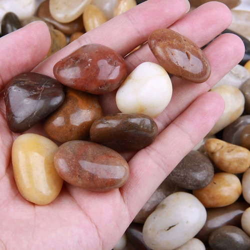 Skullis - Piedras De Río (5 Libras, Piedras Decorativas Para