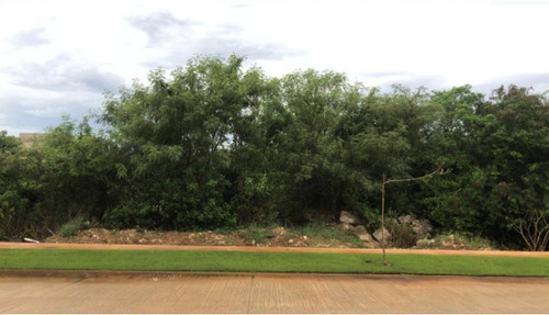 Imagen 4 de 8 de Se Vende Terreno En Esquina Privada Oasis En Yucatan Countr