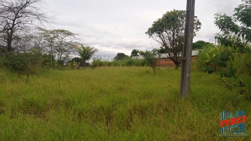 Imagem 15 de 20 de Chácaras_sítios_fazendas Para Venda - 13650.3925