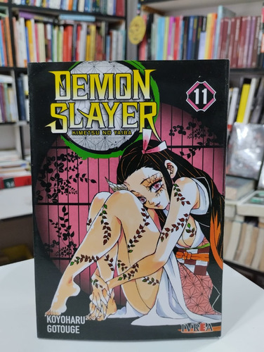 Demon Slayer 11 (kimetsu No Yaiba)