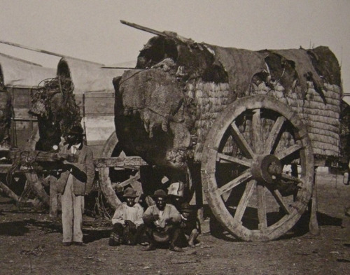 Cbas Buenos Aires Al Sur Fotografías 1864  1954 