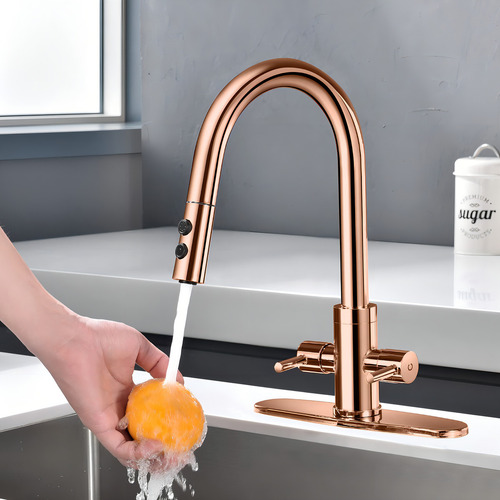 Paking Pb1048 - Grifo De Fregadero De Cocina, Grifo De Frega