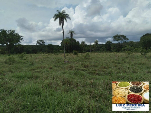 Imagem 2 de 13 de Fazenda À Venda Em Cristalândia - To - 1,302 Hec Planta Soja - 1629