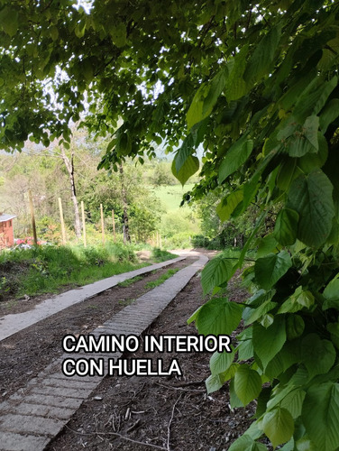 Parcela Con Orilla De Río Sector Catripulli Pucón