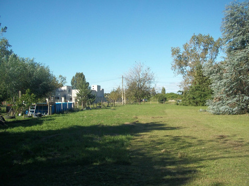 Imagen 12 de 13 de Lote En San Miguel Del Monte