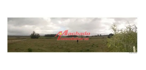 Imagen 6 de 7 de Venta De Chacra En Abra De Perdomo