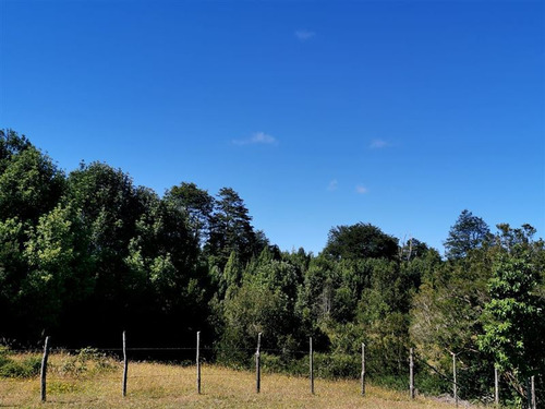 Campo En Venta En Puerto Montt