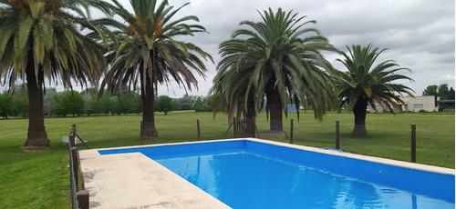 Club De Campo La Ranita 