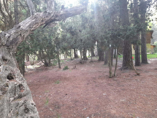 Imagen 11 de 21 de Excelente Loteo, Lago Puelo Lote N° 4