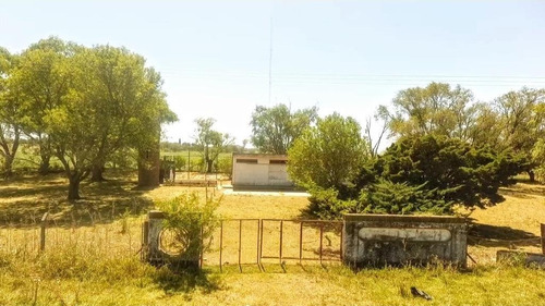 Imagen 5 de 7 de En Venta - 7 Ha / A La Vera De Rn7-km 347, Altura Acceso A Germania.