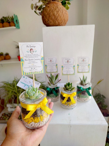 Imagen 9 de 10 de Recuerdos Souvenirs Plantas Vivas Terrarios