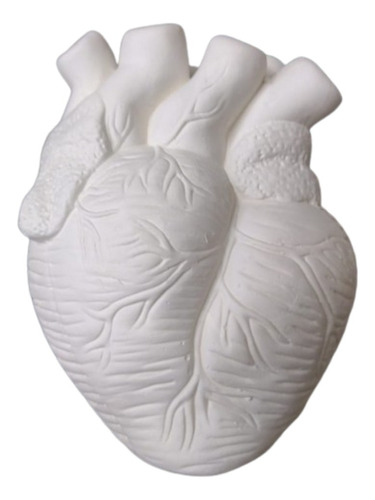 Corazón Anatómico Florero Jarron En Ceramica