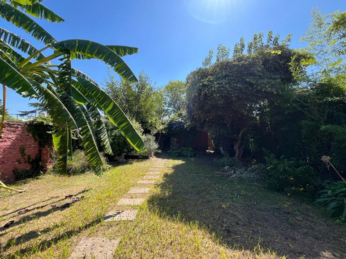 Venta De Casa En Bella Vista Oportunidad Inversión