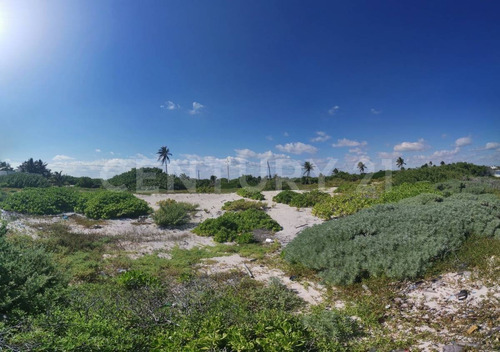 Oportunidad!!se Vende Terreno Frente Al Mar Mahahual-rio Indio P1200