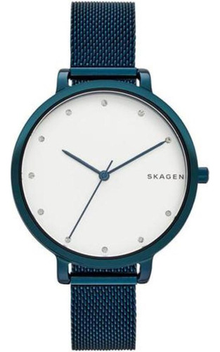 Relógio Feminino Skagen - Skw2579/4bn