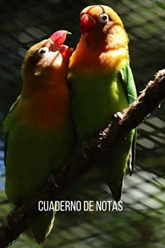 Libro: Cuaderno Notas Loros Inseparables: Diario Compo&..