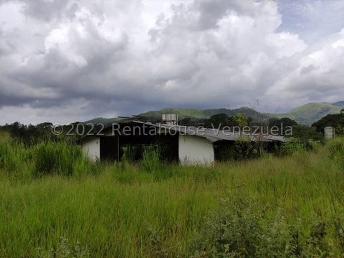 Imagen 8 de 20 de Finca Avicola En Venta Bejuma Carabobo