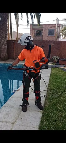 Poda De Arboles, Personal Con Seguro Palmeras
