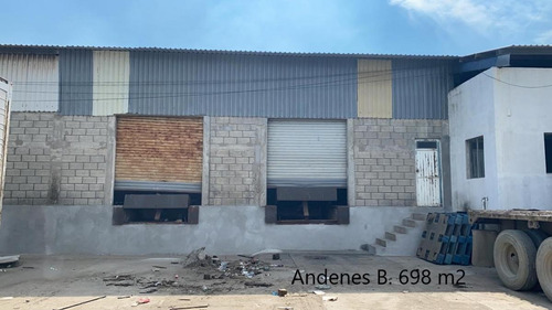 Imagen 4 de 5 de Bodega En Renta Américo Villarreal