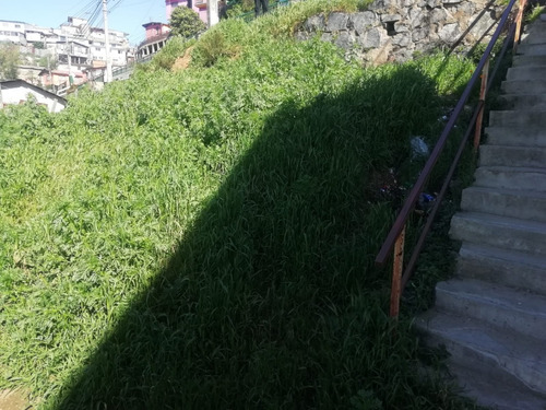 Se Vende Terreno En Camino Cintura, Cordillera