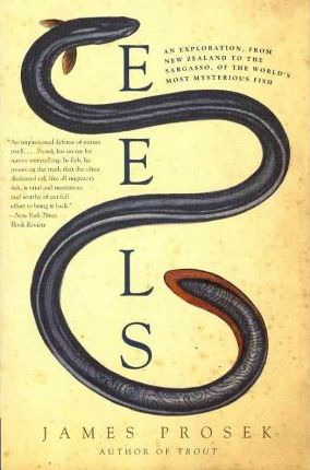 Eels : An Exploration, From New Zealand To The Sargasso, ...