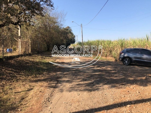 Imagem 12 de 22 de Ótimo Terreno Para Chácara No Ondinhas Em Piracicaba (código Ch00043) - Ch00043 - 69881080