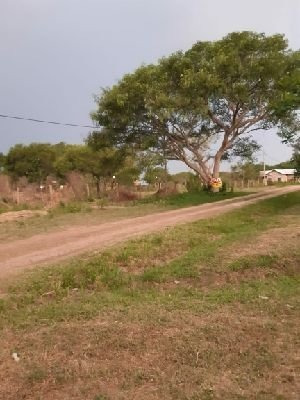 Imagen 6 de 8 de Loteo El Campito En El Centro De Colonia Benitez!