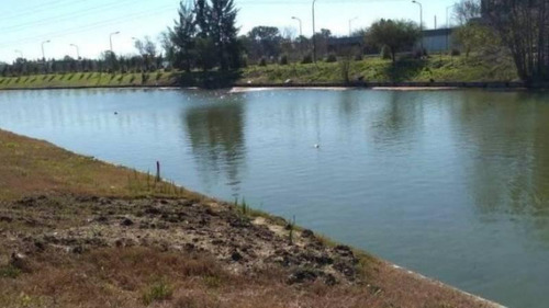 Imagen 2 de 5 de Lote En Venta Al Lago En Virazòn Nordelta