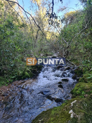 Imagen 4 de 22 de Fraccionamiento Zona: Ruta 109 Arroyo Valdivias