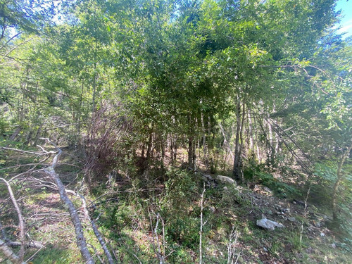 Parcela En Venta De 1 Hectarea Con Dos Casas Nuevas