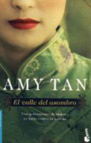 El Valle Del Asombro / Amy Tan