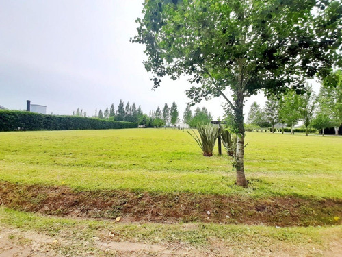 Barrio Privado Seguridad Últimos Terrenos Gigantes! 1925m, 1600m 814m Bajas Expensas Lote Cerrado Lomas De Petion (casi Cañuelas) 300m Autopista - Escritura Inmediata - A 35 Minutos Obelisco Country