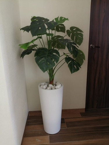 Maceta Minimalista De Plástico Ficus Resistente Exterior  